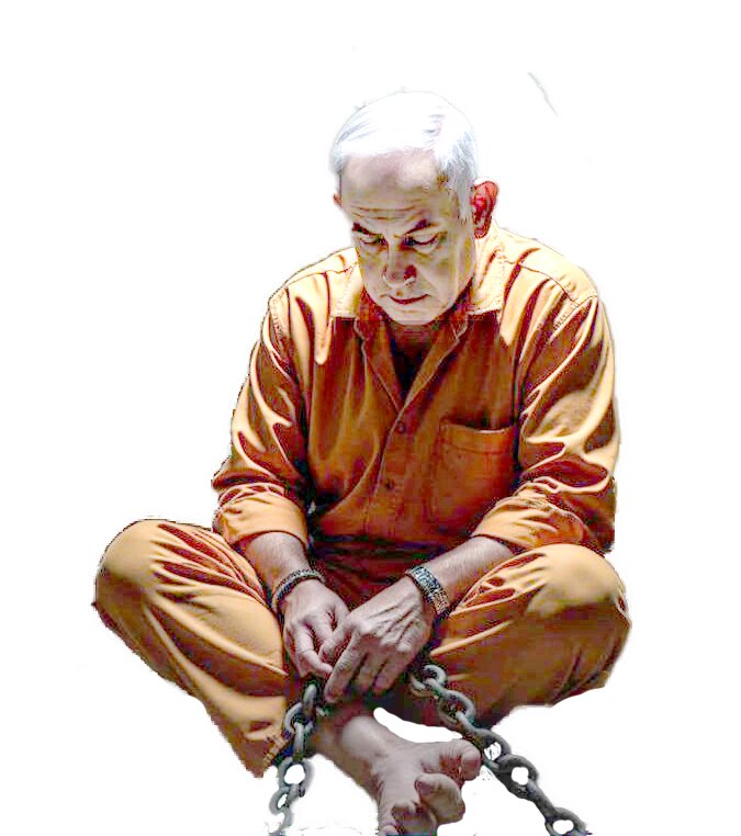 شیر تو شیر غربی شیر تو شیر غربی