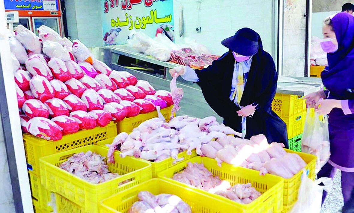 قیمت مرغ به ساز تورم میرقصد قیمت مرغ به ساز تورم میرقصد