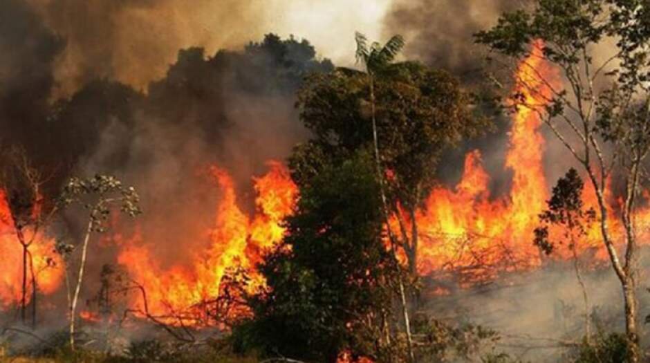آلودگی هوای ناشی از آتشسوزی جنگلها سالانه ۵/۱ میلیون نفر را میکشد آلودگی هوای ناشی از آتشسوزی جنگلها سالانه ۵/۱ میلیون نفر را میکشد