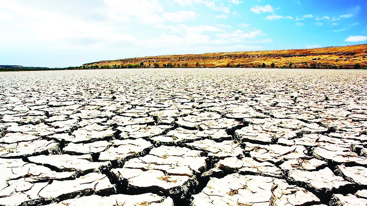 درگیر جذام زمین درگیر جذام زمین