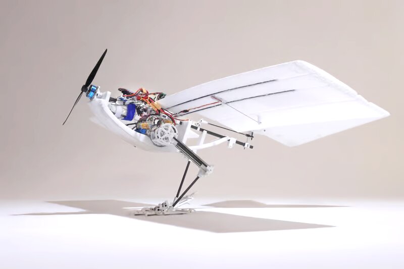 ربات پرندهای که مانند کلاغ راه میرود را تماشا کنید ربات پرندهای که مانند کلاغ راه میرود را تماشا کنید