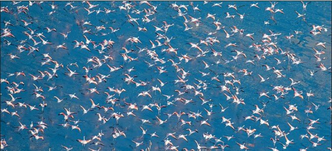 پرواز بر فراز دریاچه مهارلو پرواز بر فراز دریاچه مهارلو