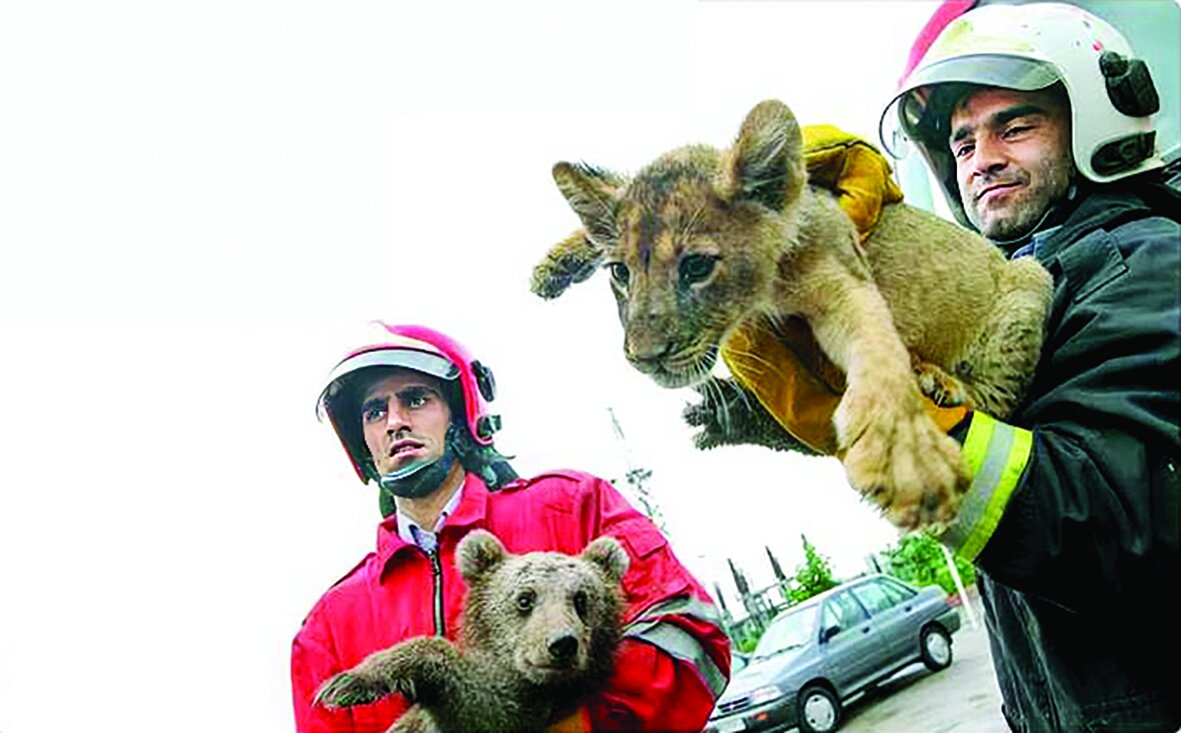 حیاتوحش در خانه حیاتوحش در خانه