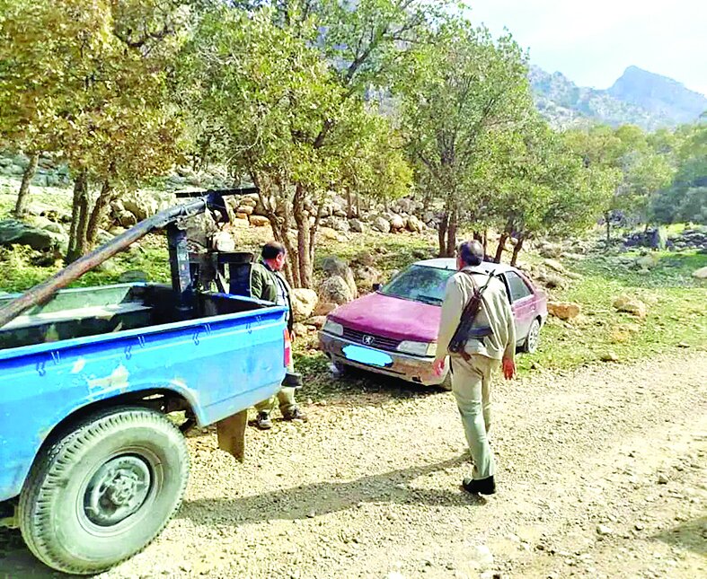 یک محیطبان برای محفاظت از بلوطها مجروح شد یک محیطبان برای محفاظت از بلوطها مجروح شد