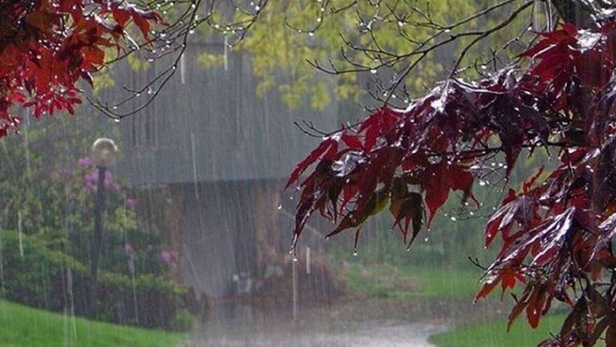 بارشها ۳۶ درصد کمتر از میانگین ۳۰ساله است بارشها ۳۶ درصد کمتر از میانگین ۳۰ساله است