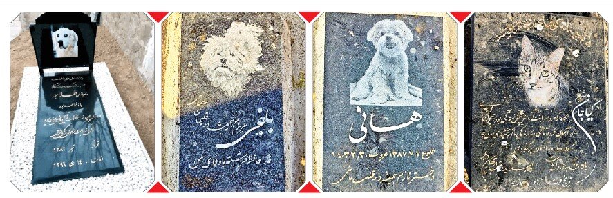 وداع اشرافی با حیوانات خانگی وداع اشرافی با حیوانات خانگی