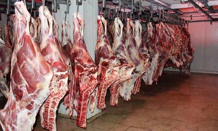 تامین ۲۰درصدی گوشت قرمز موردنیاز کشور از طریق واردات تامین ۲۰درصدی گوشت قرمز موردنیاز کشور از طریق واردات