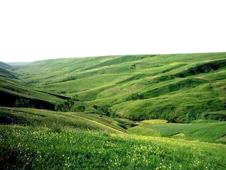 دشت مغان؛ جلگهای زیبا در شمالغربی ایران دشت مغان؛ جلگهای زیبا در شمالغربی ایران