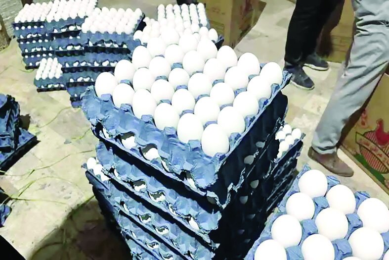 فروش هرشانه تخممرغ بالاتر از ۱۴۰هزارتومان گرانفروشی است فروش هرشانه تخممرغ بالاتر از ۱۴۰هزارتومان گرانفروشی است
