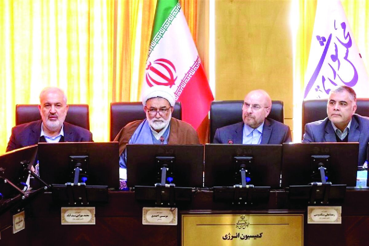 نیازمند یک نهاد برای انرژی در کشور هستیم نیازمند یک نهاد برای انرژی در کشور هستیم