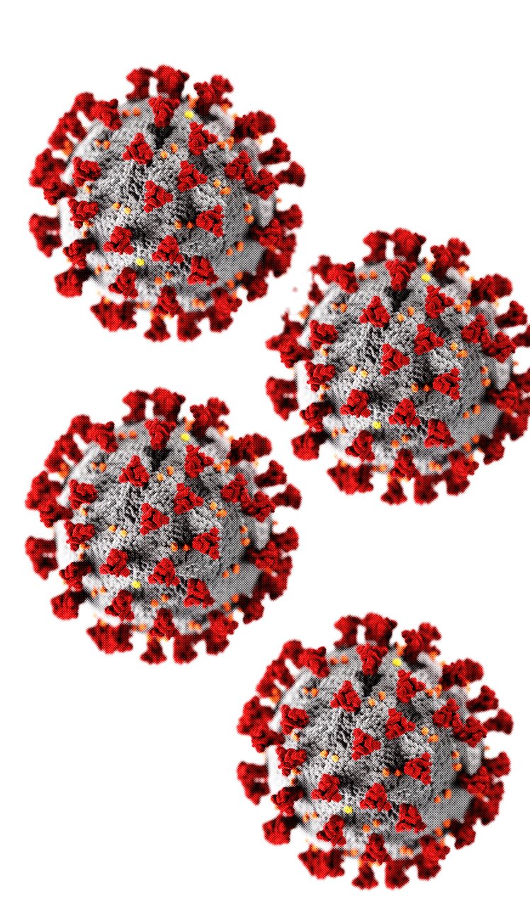 مراقب ویروس چینی باشیم مراقب ویروس چینی باشیم