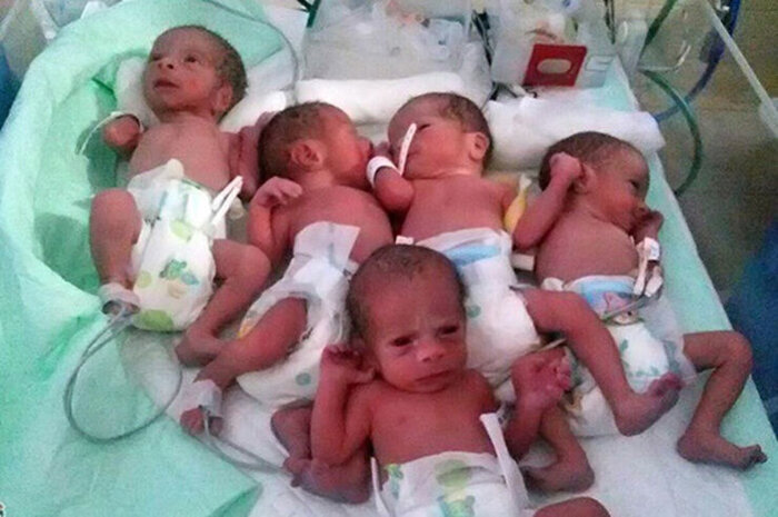 استانهای صدرنشین چندقلوزایی را بشناسید استانهای صدرنشین چندقلوزایی را بشناسید