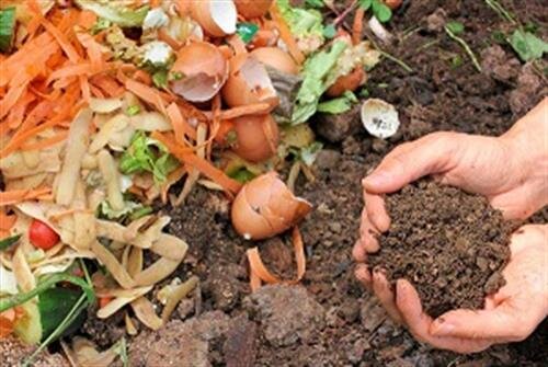 اتلاف ٣٣ درصدی مواد غذایی در فرآیند کشت، داشت و برداشت اتلاف ٣٣ درصدی مواد غذایی در فرآیند کشت، داشت و برداشت