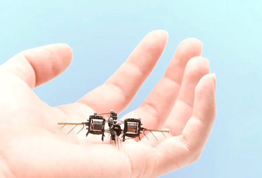 ربات پرنده کوچک که حرکات آکروباتیک انجام میدهد ربات پرنده کوچک که حرکات آکروباتیک انجام میدهد