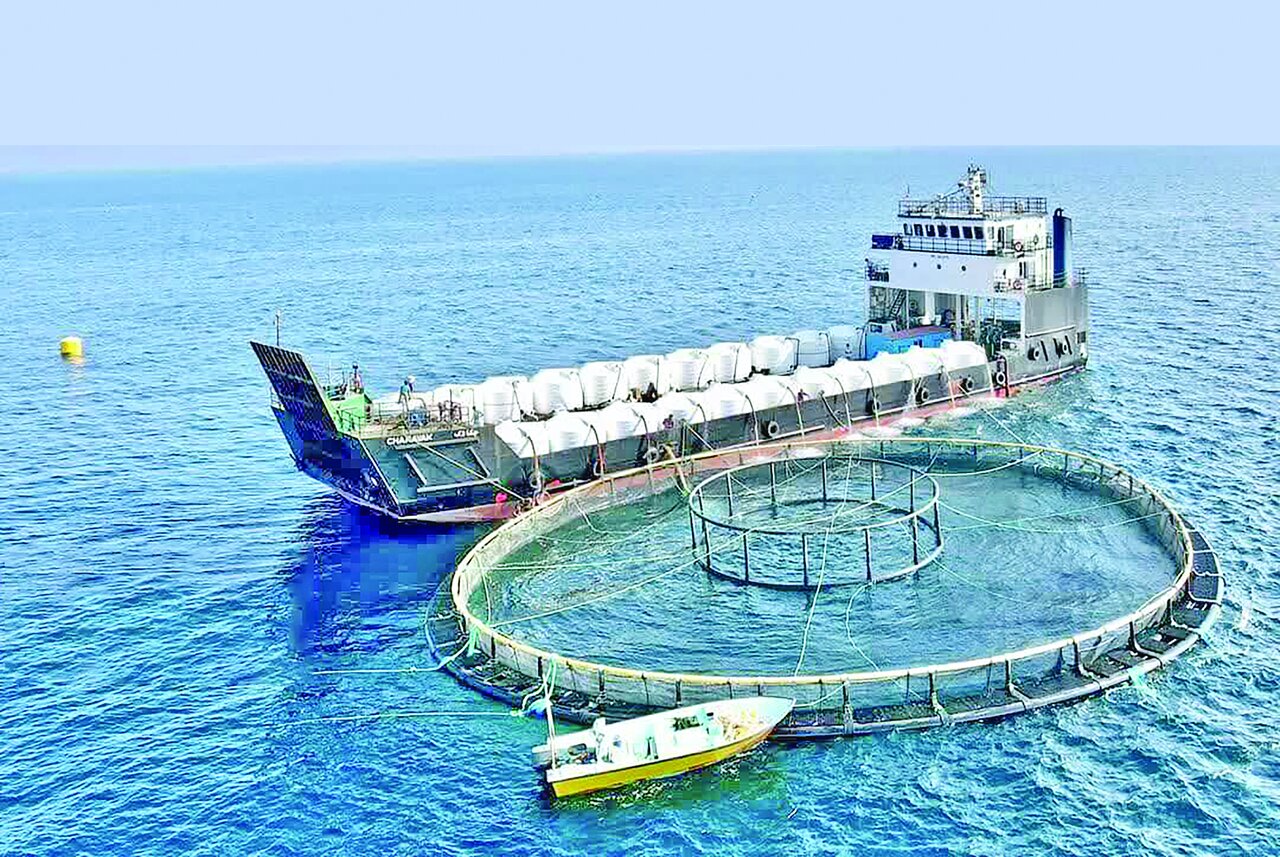 اقتصاد دریایی پایه، درآمدی سرشارتر از نفت اقتصاد دریایی پایه، درآمدی سرشارتر از نفت