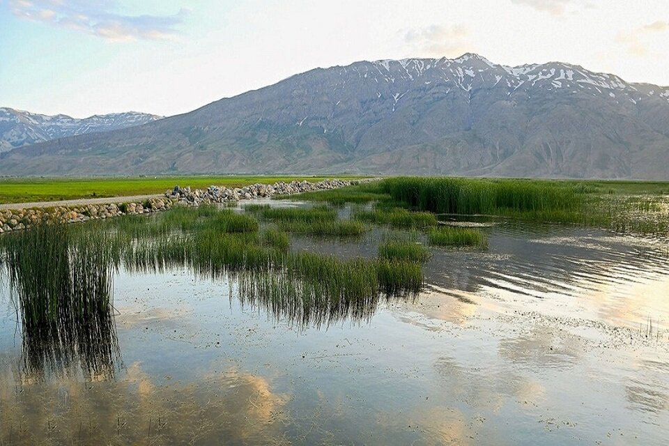 ۳ شهر وارد شهرهای تالابی کنوانسیون رامسر شدند ۳ شهر وارد شهرهای تالابی کنوانسیون رامسر شدند
