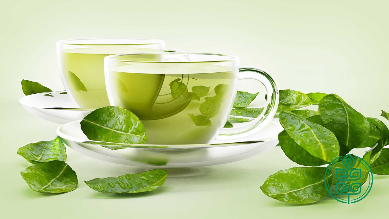 بهترین زمان نوشیدن چای سبز برای چربیسوزی بهترین زمان نوشیدن چای سبز برای چربیسوزی