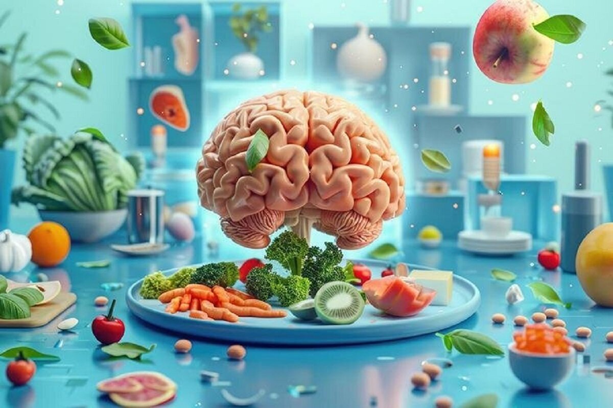 ۴ ماده غذایی برای پیشگیری از کاهش حجم مغز ۴ ماده غذایی برای پیشگیری از کاهش حجم مغز