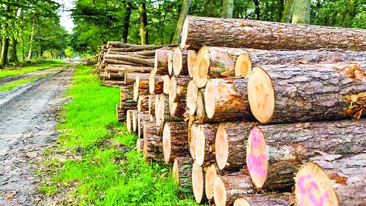 ۷ سال فراموشی  یک طرح ۷ سال فراموشی  یک طرح