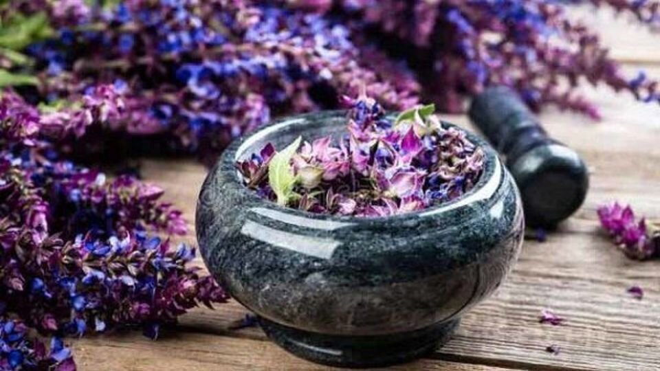 گیاهی شگفت انگیز برای سلامت، زیبایی و تناسب اندام گیاهی شگفت انگیز برای سلامت، زیبایی و تناسب اندام