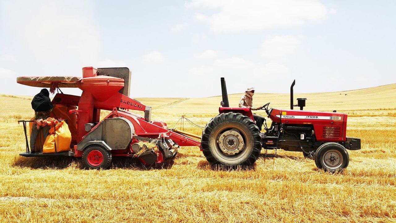 رشد ۳۵ درصدی صادرات در بخش کشاورزی رشد ۳۵ درصدی صادرات در بخش کشاورزی