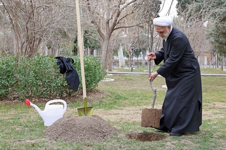 تخریب محیط زیست به بهانه توسعه، ممنوع! تخریب محیط زیست به بهانه توسعه، ممنوع!