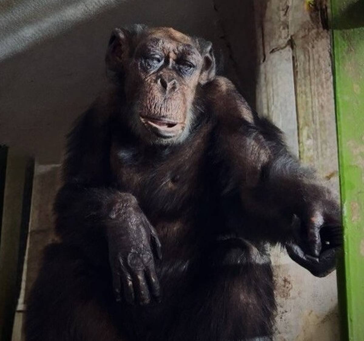 خداحافظی «پرویز» با ارم خداحافظی «پرویز» با ارم