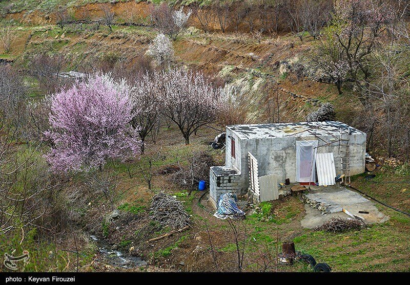بهار دلانگیز کردستان بهار دلانگیز کردستان