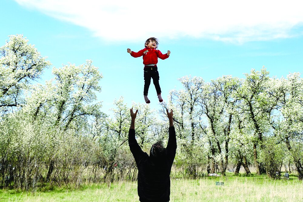 رفاقت بیکاری والدین و بیفرزندی رفاقت بیکاری والدین و بیفرزندی