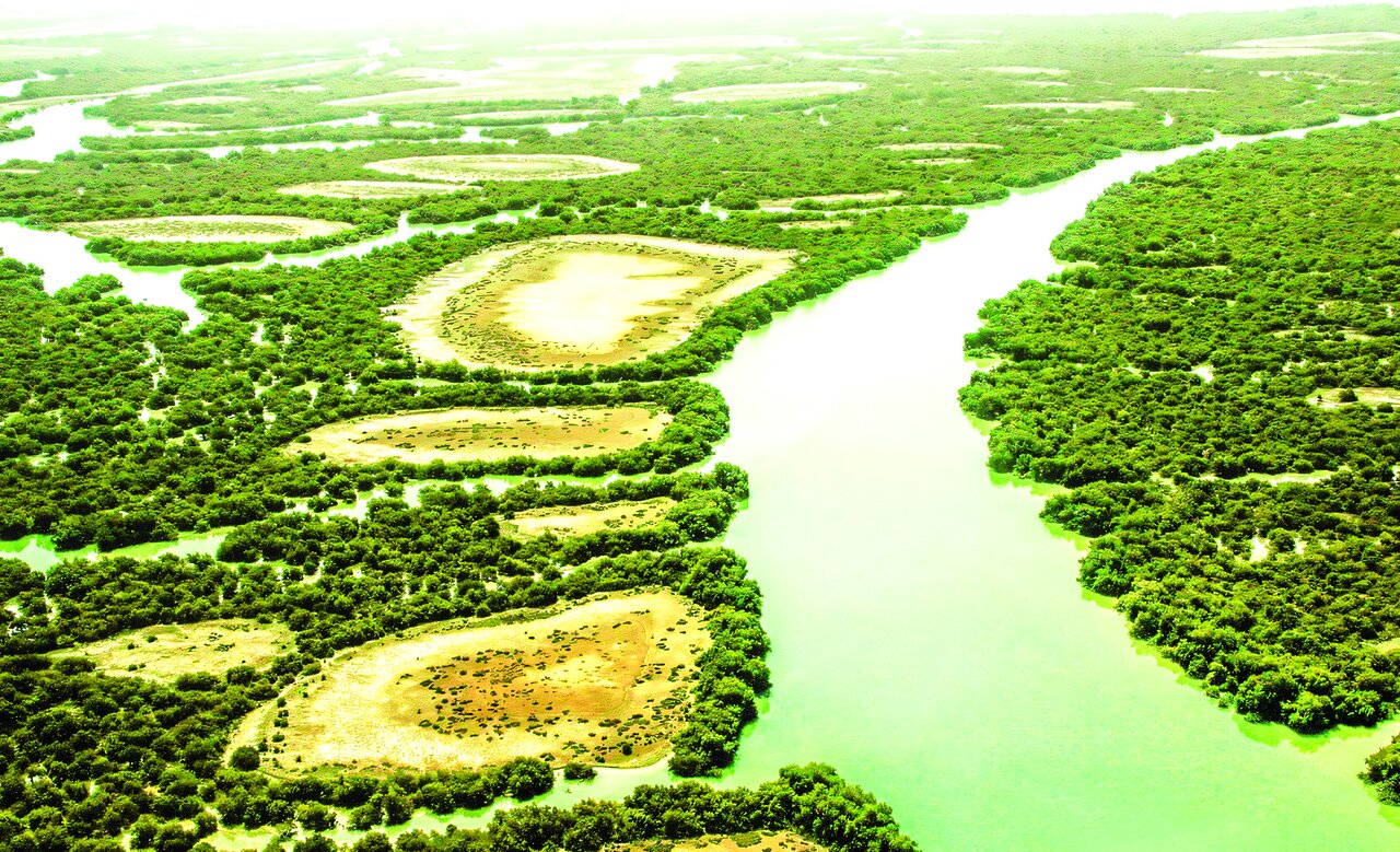 الماسی میان خشکی و دریا الماسی میان خشکی و دریا