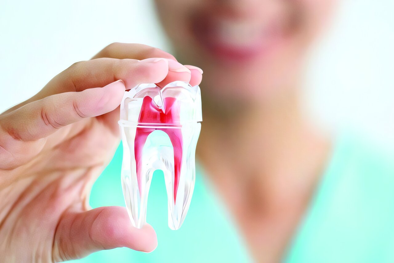 زگهواره تا گور، مسواک بزن زگهواره تا گور، مسواک بزن