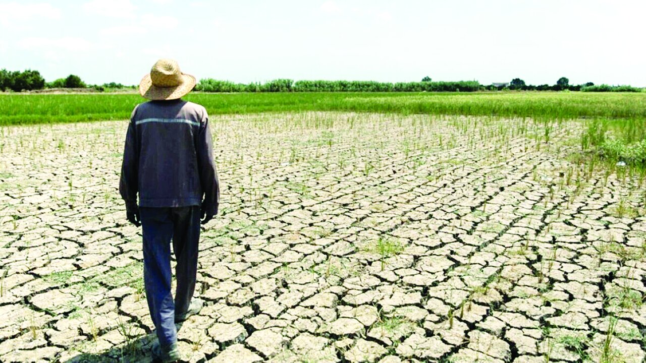 مرگ تدریجی کشاورزی مرگ تدریجی کشاورزی