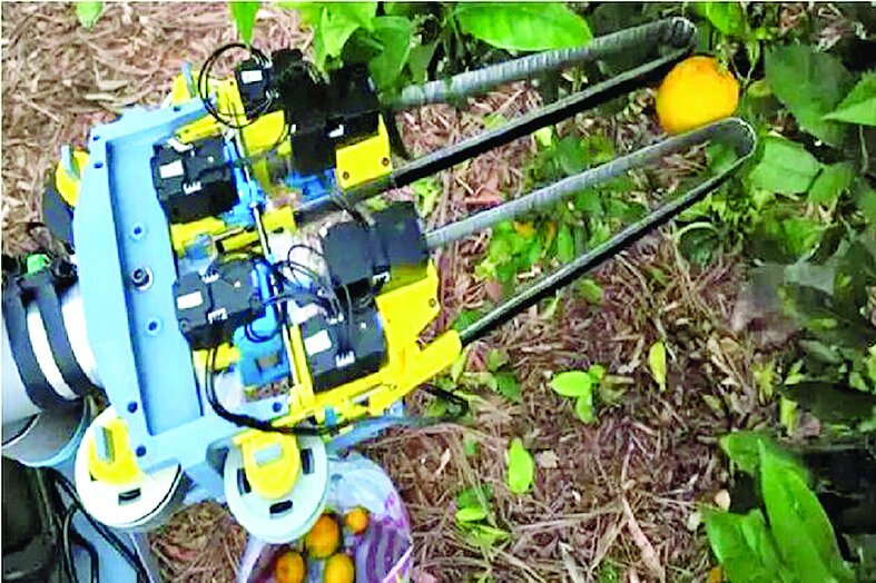 ربات میوهچین ساخته شد ربات میوهچین ساخته شد