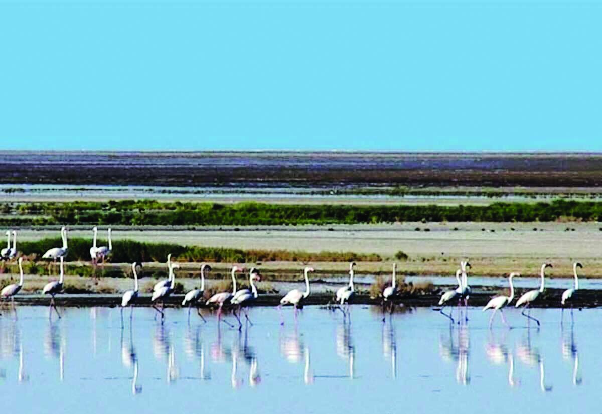 تبدیل تهدید به فرصت تبدیل تهدید به فرصت