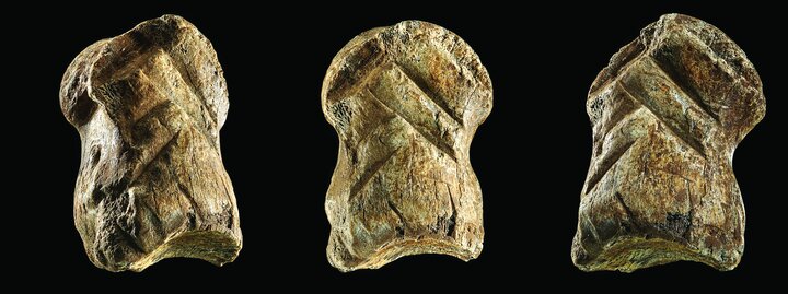 یک تصویر و هزار کلمه