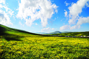 طبیعت بهاری دامنه کوه سبلان
