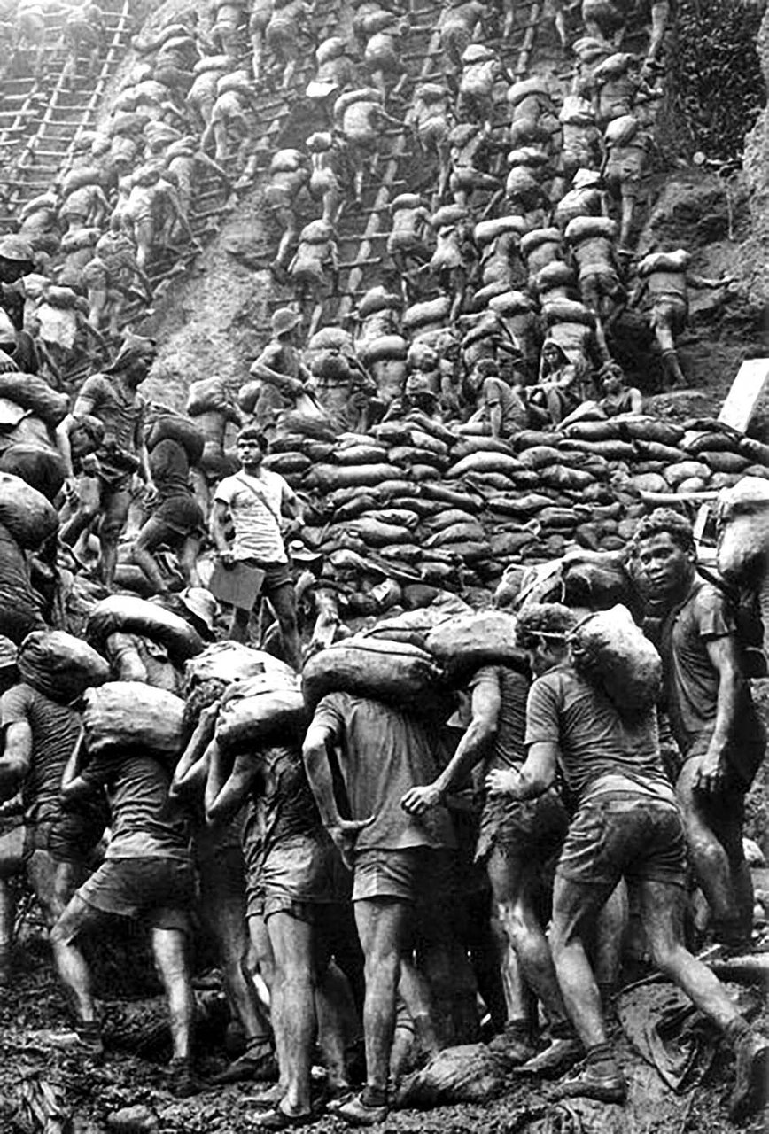 عکاس شکوه طبیعت و ویرانی زمین به دست بشر، درگذشت