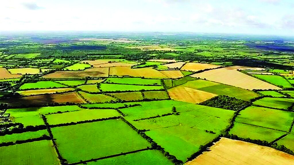 ۱۱ میلیون هکتار اراضی کشاورزی سنددار شدند ۱۱ میلیون هکتار اراضی کشاورزی سنددار شدند