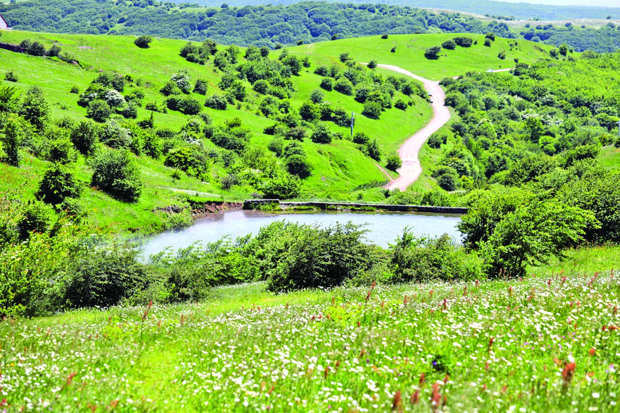 جنگل «فندقلو» جنگل «فندقلو»