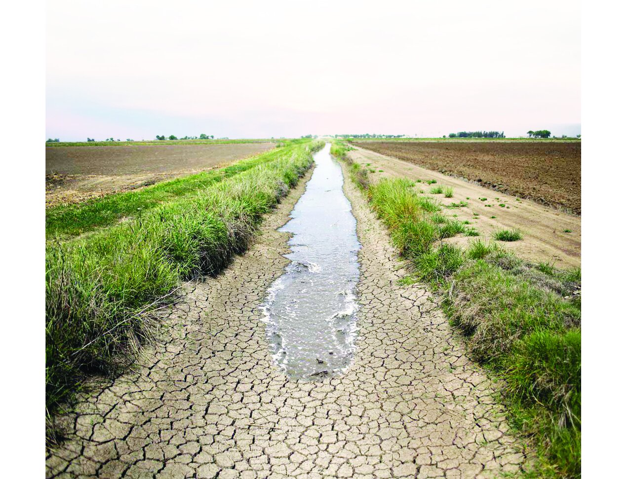 جانی که کشاورزی از منابع پایه به یغما برد جانی که کشاورزی از منابع پایه به یغما برد