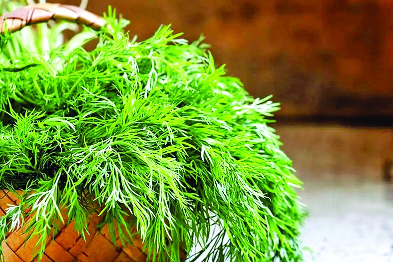 درمان طبیعی نفخ، بیخوابی و کلسترول درمان طبیعی نفخ، بیخوابی و کلسترول