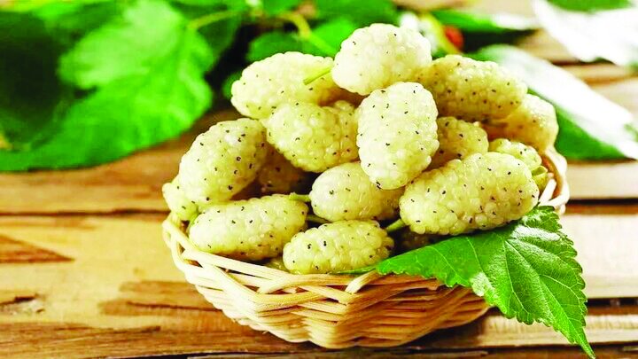 با خوردن این میوه افسرده نمیشوید با خوردن این میوه افسرده نمیشوید