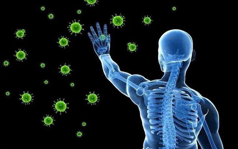 برای تقویت سیستم ایمنی بدن در روزهای پر استرس چه کار کنیم؟ برای تقویت سیستم ایمنی بدن در روزهای پر استرس چه کار کنیم؟