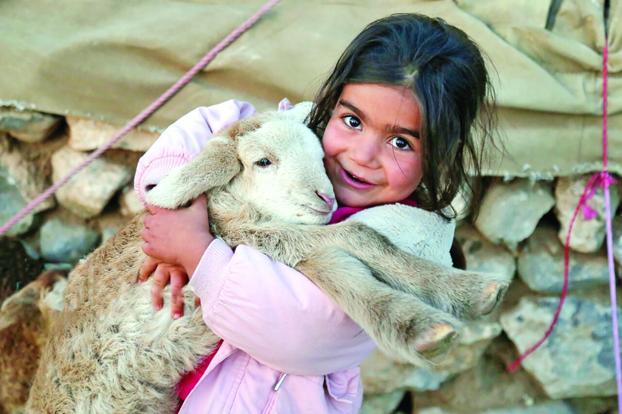 عشایر کُرمانج در ییلاق «گلیل» عشایر کُرمانج در ییلاق «گلیل»