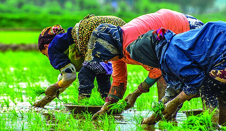 آداب نانوشته؛ نقشهای ماندگار