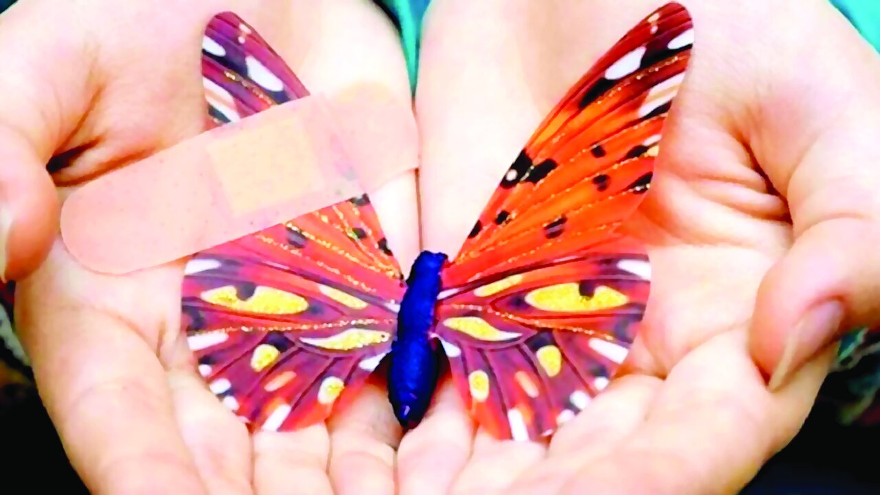 زخم بیتوجهی بر تن پروانهها زخم بیتوجهی بر تن پروانهها