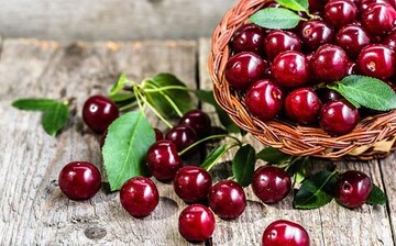 گیلاس، آنتی‌اکسیدانی قوی در سبد میوه تابستانی