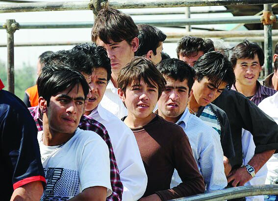 دلالی سرپایی افغانستانیها در بازار مسکن دلالی سرپایی افغانستانیها در بازار مسکن