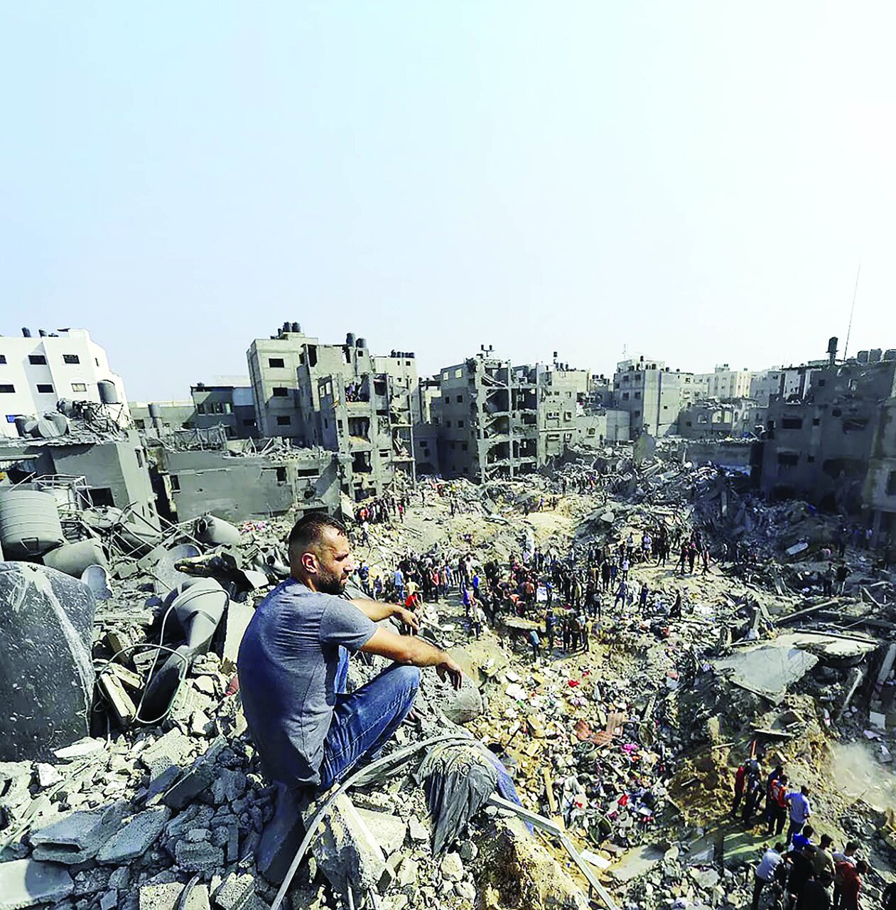 شریک جرم شریک جرم