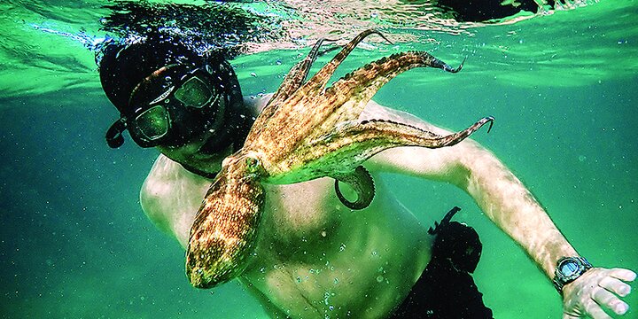 سینمای مستند؛ دریچه‌ای به امید و زیبایی